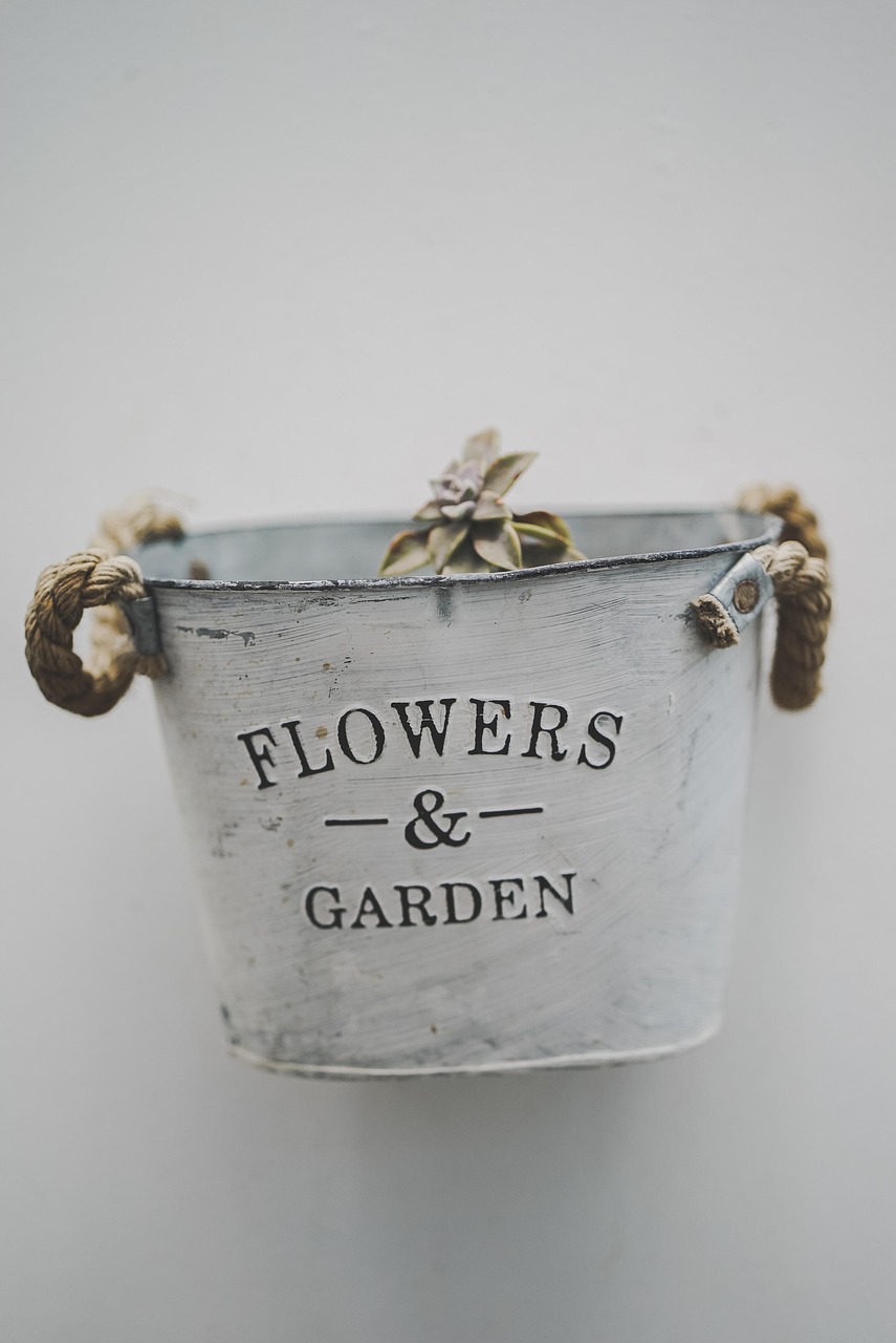 plant pot, garden, flower wallpaper, pot, plant, flower background, nature, flower, gardening, home, design, botany, pots, decoration, beautiful flowers, house, houseplant, outdoor
